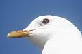 14_DP-2011-023 Bild0251c